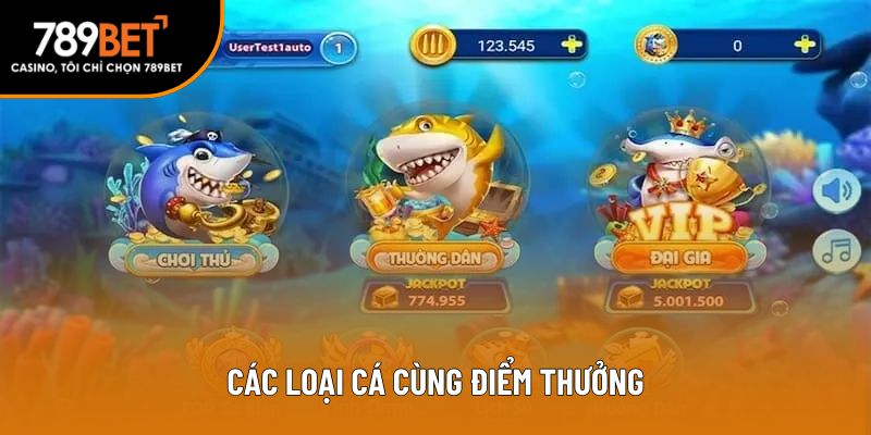 Cá loại cá thịnh hành nhất 2025